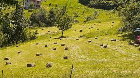 Maintained land with two houses - Montenegro Forests