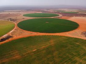 Commercial Irrigation Farm