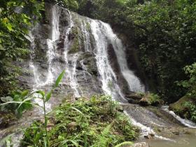Large property with Pacuare Forest view and development potential