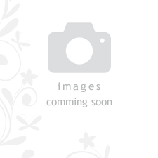 2 buildings - houses and income-investment property