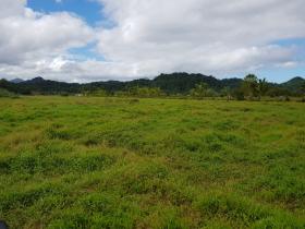 Freehold 10 acre farm land for sale - possible to build hotel, resort