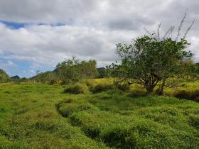 Freehold 10 acre farm land for sale - possible to build hotel, resort