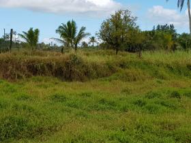 Freehold 10 acre farm land for sale - possible to build hotel, resort