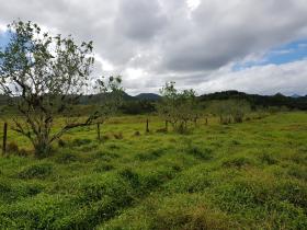 Freehold 10 acre farm land for sale - possible to build hotel, resort
